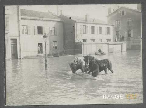 Inondations de 1910 (Nancy)
